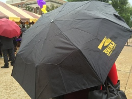 SEIU umbrella